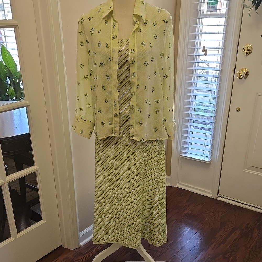 Emma James Lime Floral Striped Semi Sheer 3 Pc Dress Set Skirt Tank Top Sz 8 EUC